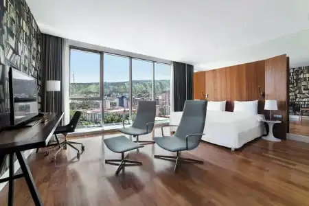 Holiday Inn TBILISI by IHG - 50