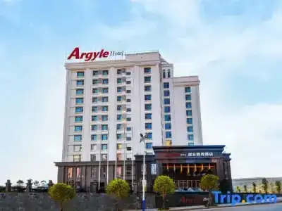Argyle Dali Pangye - 0