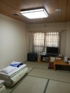Hashimoto - 15