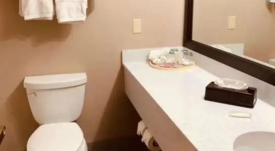 Comfort Suites Plano East - Richardson - 7