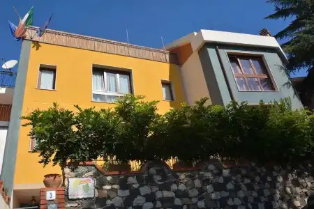 Betulla dell'Etna - 0