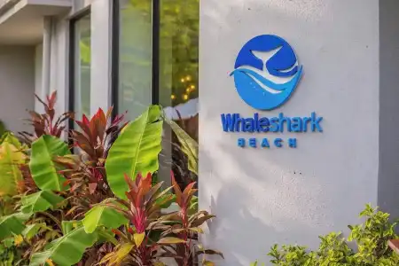 Whaleshark Beach - 34