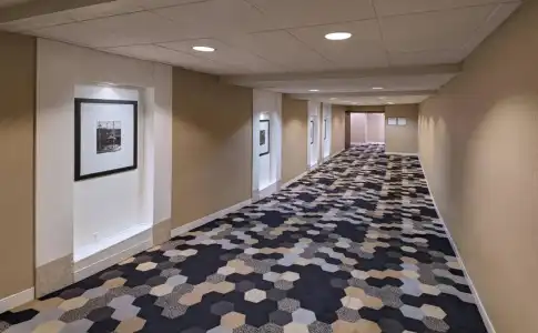 Sheraton Bellevue - 8
