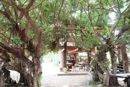 Baan Eve Guesthouse - 14