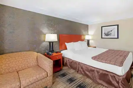 Best Western The Inn At Rochester Airport - 29