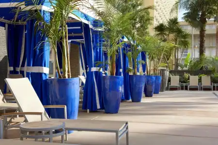 Four Points by Sheraton Los Angeles International Airport (USA) - 22