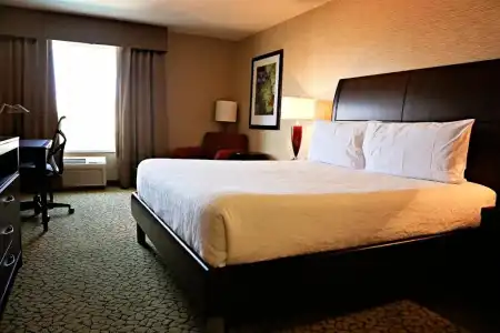 Hilton Garden Inn St. George - 56