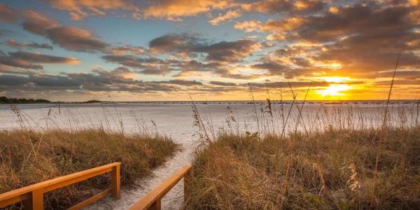 Gullwing by Distinctive Beach Rentals - 24