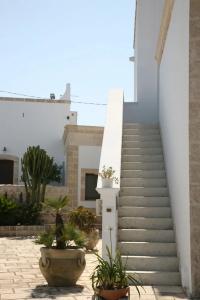 Masseria San Martino - 32