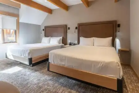 Moose And Suites - 111