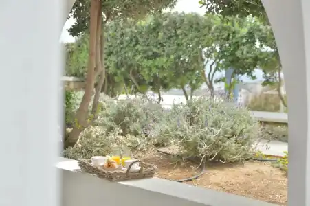 Mediterranean - 21