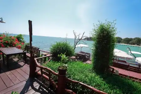 Tongta Phaview - 45