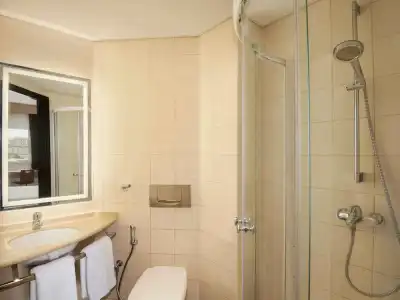 Ibis Muscat - 32