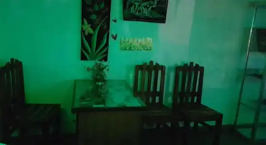 Green House - 12