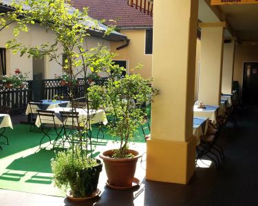 Guesthouse Stari Tišler - 13