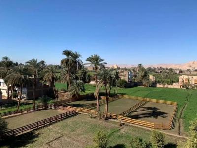Cleopatra Luxor - 25
