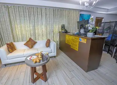Beachside All Suites - 43