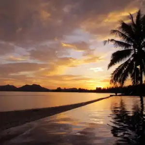 Sara Beachfront Boutique Resort - 38