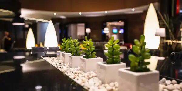JF Grand Puebla - 10