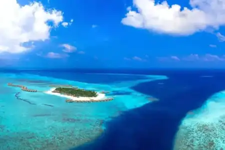 You & Me by Cocoon - 45