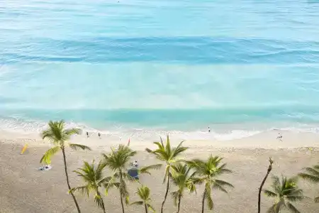 OUTRIGGER Waikiki Beach Resort - 24