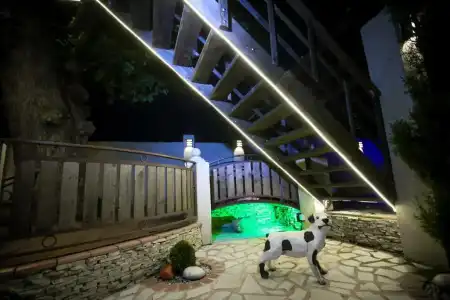 Garden - 2
