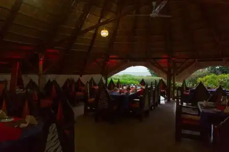 Manyara Wildlife Safari Camp - 19