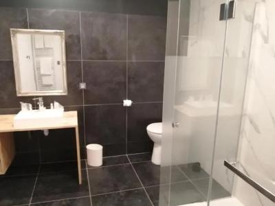 Hôtel du Cygne (Tours) - 61