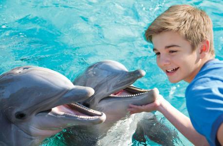 Holiday Inn Express San Diego - SeaWorld Area by IHG - 36
