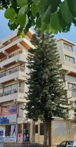 Nex Hostel - 0