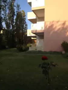 Kyriaki - 17