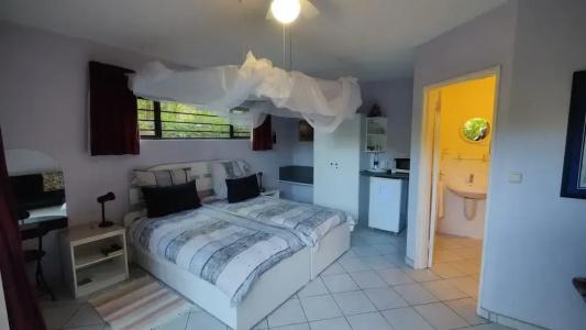 Maison Ambre Guesthouse - 37