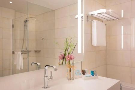 Novotel Abu Dhabi Al Bustan - 41