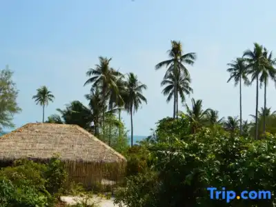 Tamu Koh Rong - 31