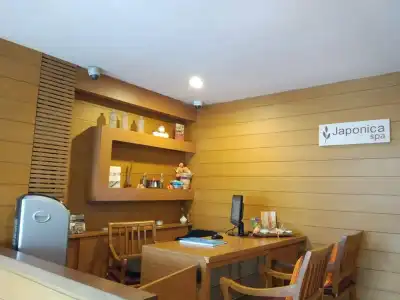 Stark Boutique and Spa Bali - 25