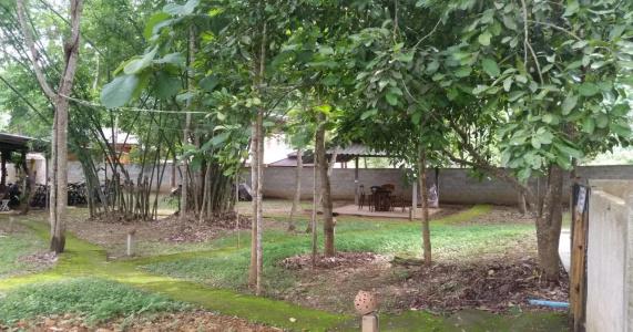 The Cave Camp - 1