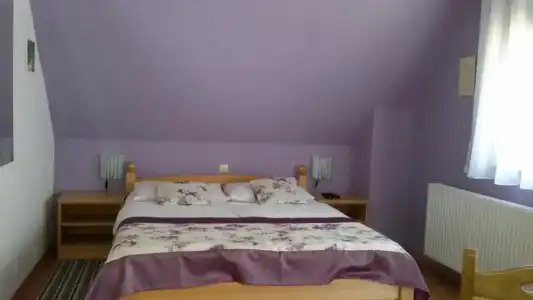 Guest House Wolf - 11
