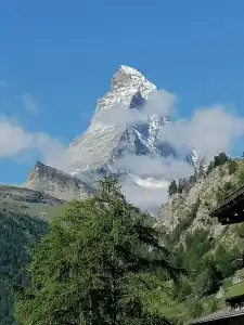 Petit Helvetia Budget - 13