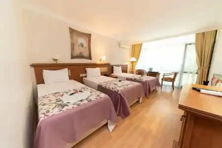 Troia Tusan - 54