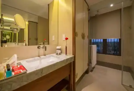 Vivanta Colombo, Airport Garden - 113