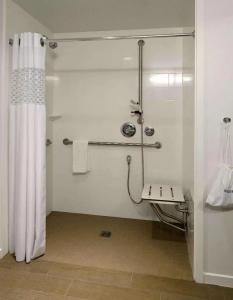 Hampton Inn Green Bay Downtown - 48