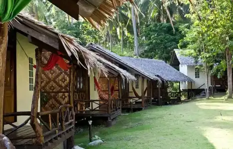 Shiralea Island Resort - 72
