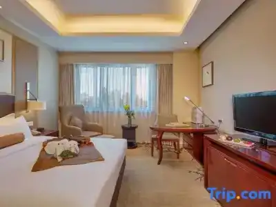 Landison Meiyuan - 75