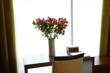 Pirimze Plaza - 57