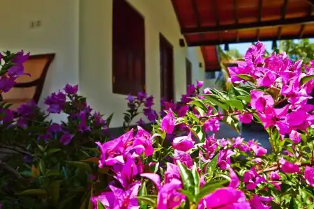 Villa Tangalle Lagoon - 101