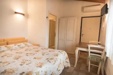 Rosa di Assisi - 137