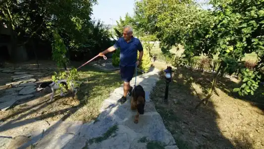 Castle Nolana - 10