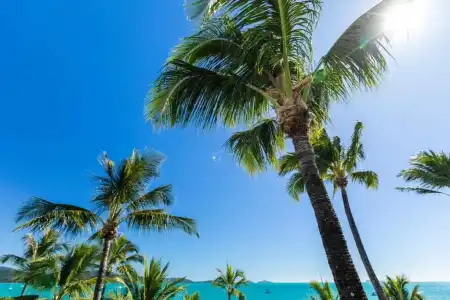 Coral Sea Resort - 101