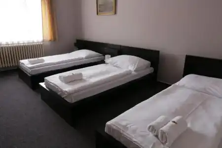 Zlata Stika - 25