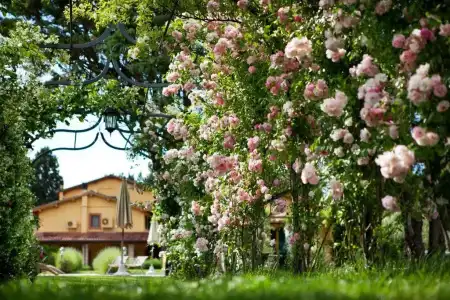 Resort e Spa San Crispino - 46